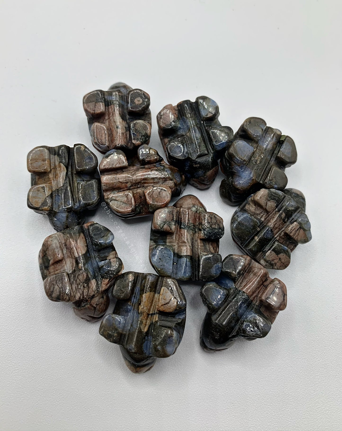 Que Sera Mini Turtle