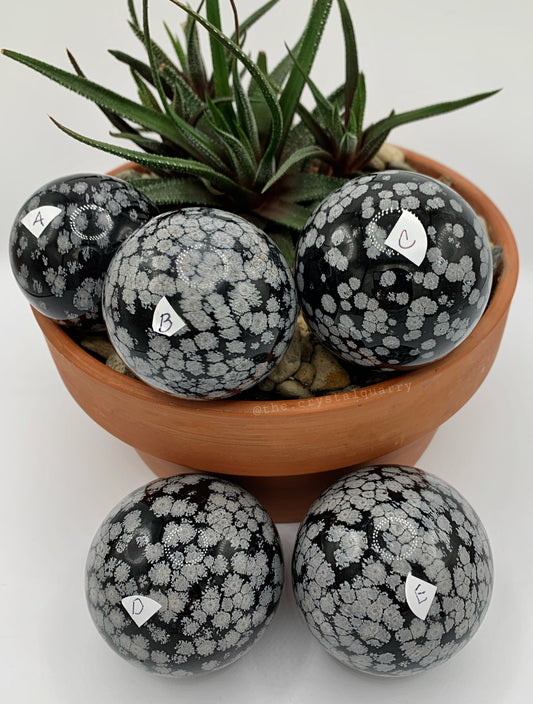Snowflake Obsidian Sphere (D)